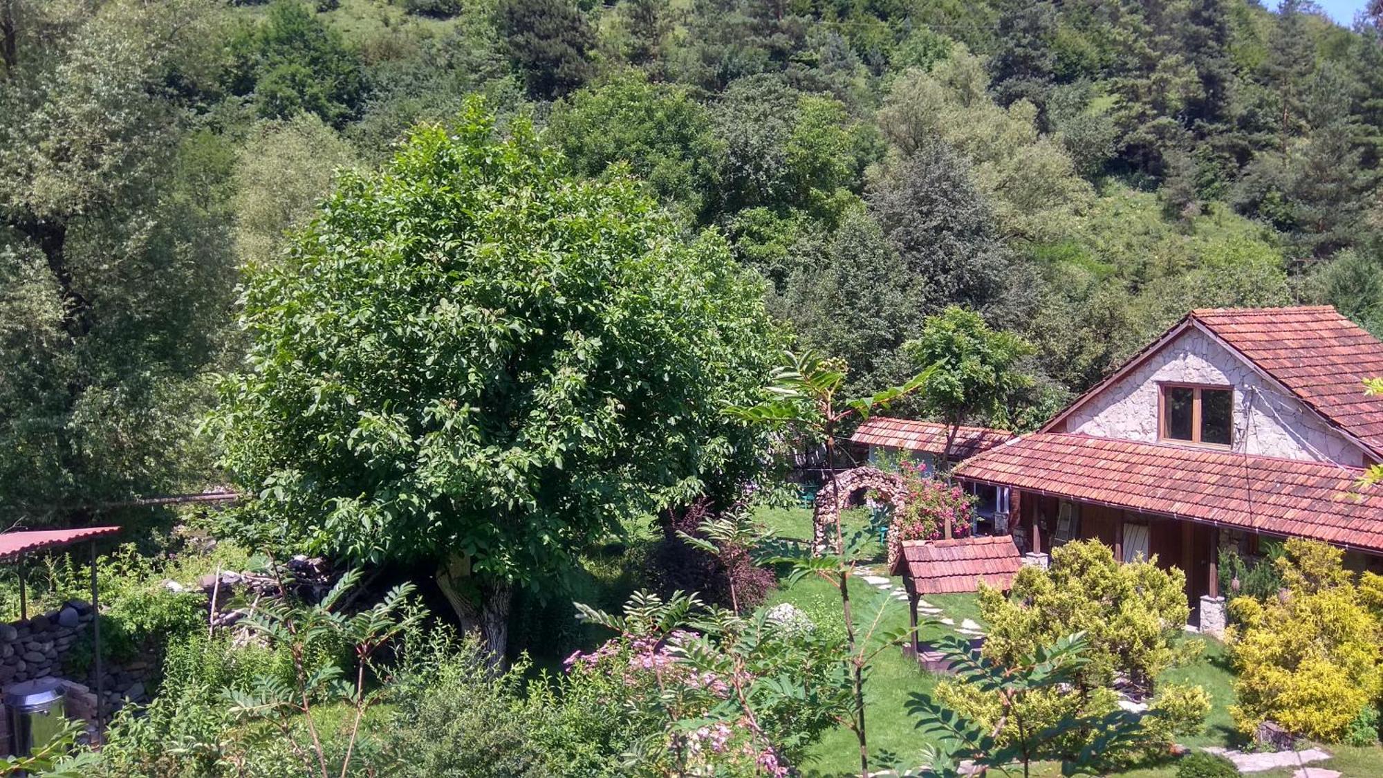 Bed and Breakfast Eco Garden Dilidżan Zewnętrze zdjęcie